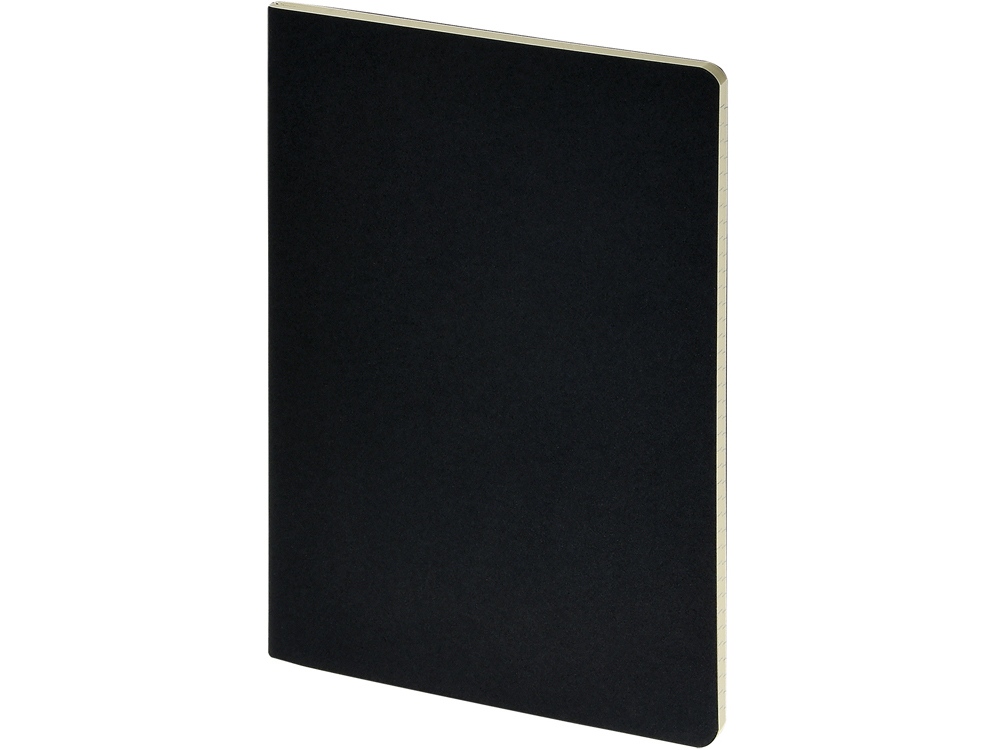 Бизнес-тетрадь А4 Pragmatic,  40л., клетка, черный