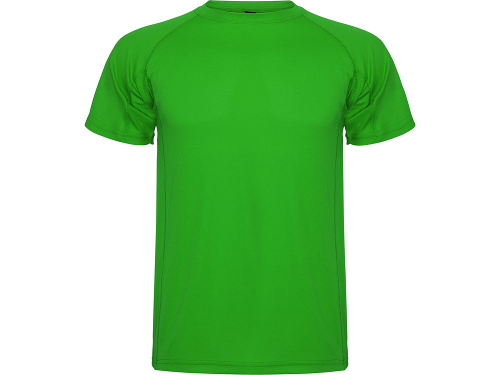 Спортивная футболка Montecarlo мужская, папоротниковый