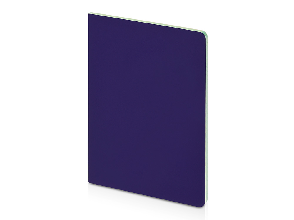 Бизнес-тетрадь А5 Pragmatic Contrast, 40 листов в клетку, фиолетовый с салатовым срезом