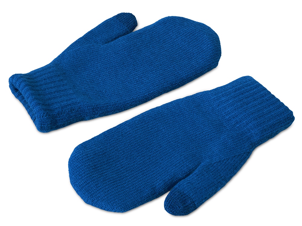 Варежки Dunant, классический синий
