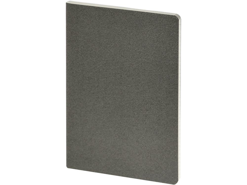 Бизнес-тетрадь А4 Pragmatic,  40л., клетка, серый