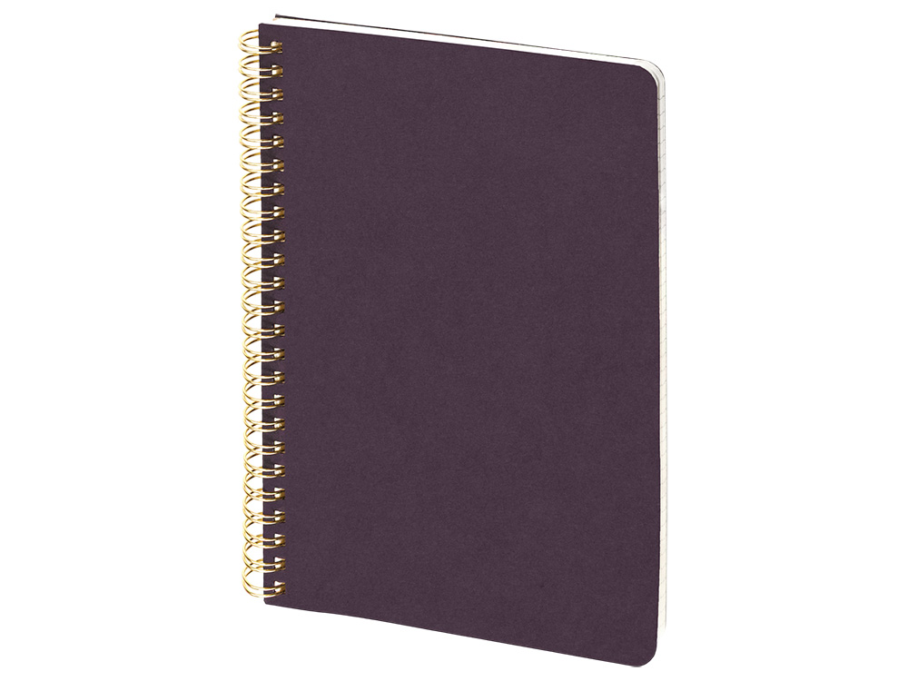 Бизнес тетрадь на гребне А5 Pragmatic, 60 листов в клетку, фиолетовый