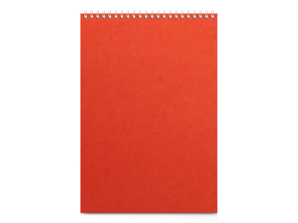 Бизнес - блокнот А4 (198 х 285 мм) Office 60 л., оранжевый